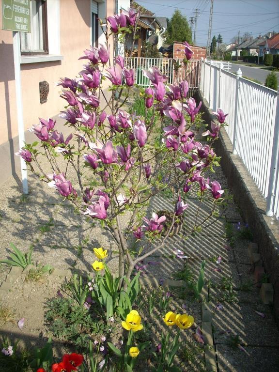 Bundics Vendeghazak Bed & Breakfast Lenti Exterior photo